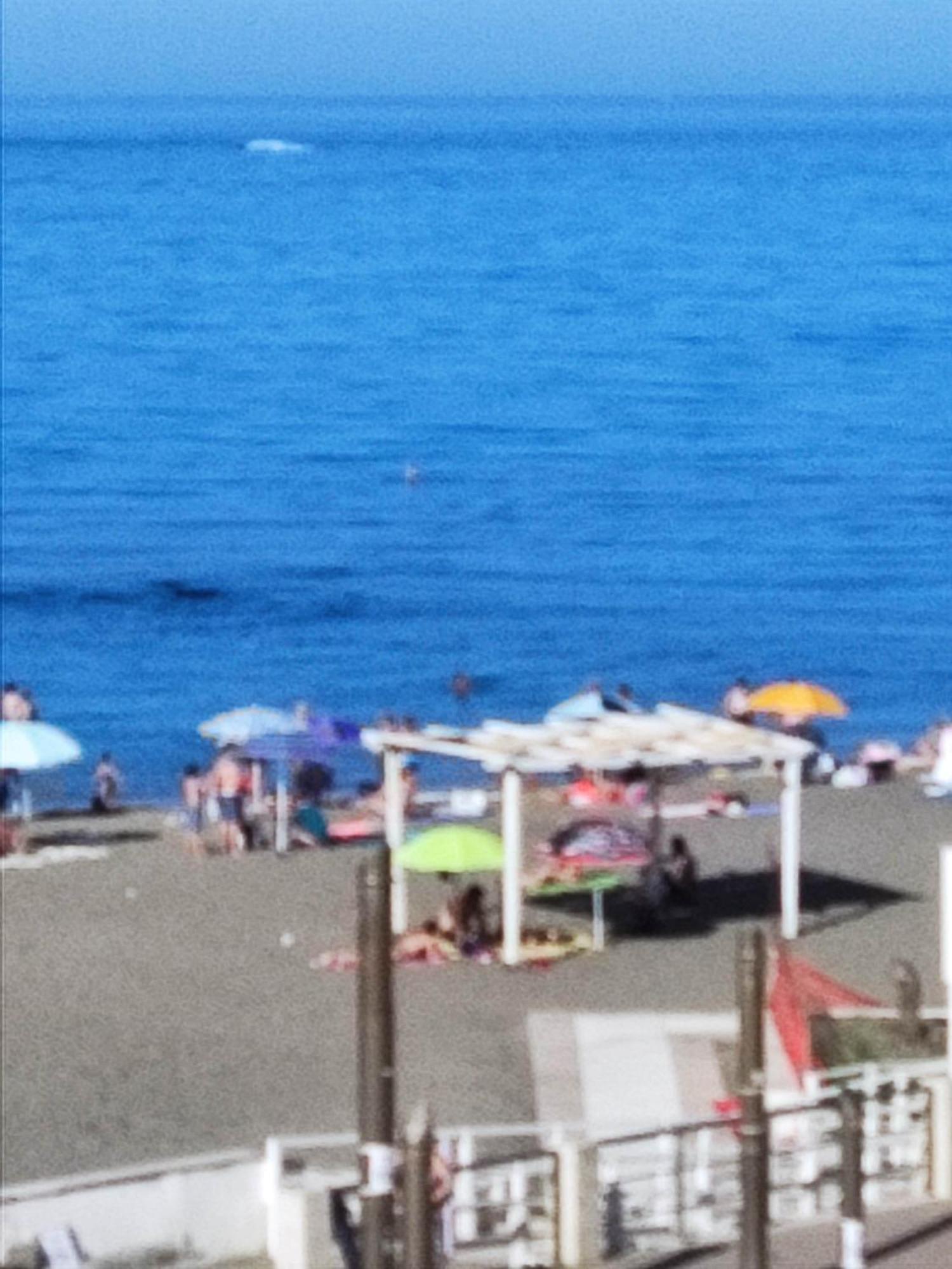 Apartment With Seaview Casa Davidoff Ostia Buitenkant foto